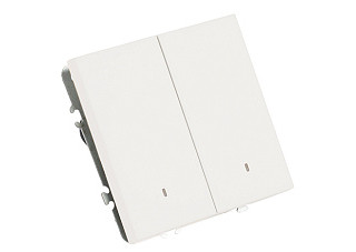 Выключатель Feron 2-клавишный c инд. (механизм) 250В 10А  Эмили RSW10-5102-01 белый фарфор 49864