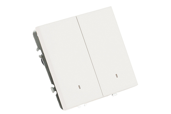 Выключатель Feron 2-клавишный c инд. (механизм) 250В 10А  Эмили RSW10-5102-01 белый фарфор 49864