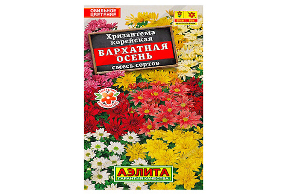 Хризантема Бархатная Осень 0,02гр корейская смесь окрасок /многолетник