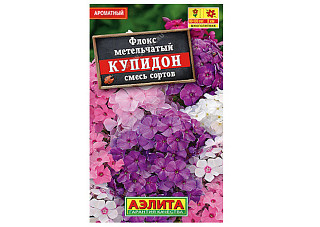 Флокс Купидон 0,1гр метельчатый смесь сортов /многолетник