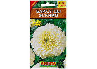 Бархатцы Эскимо низкорослые, белые, густомахровые Н35см, d=6см, однолетник 0,05гр