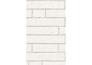 Панель ПВХ фотопечать White Stone (2700х250мм) 8256 