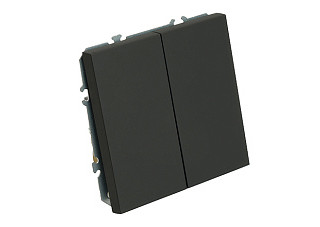 Переключатель Feron 2-клавишный (механизм) 250В 10А  Эмили RSW10-5107-05 черный уголь 49843