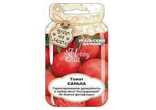 Томат Санька 20шт сер.ЧУДО НА ЗАСОЛ /невероятно урожайный популярный ультраранний сорт