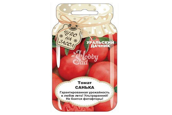Томат Санька 20шт сер.ЧУДО НА ЗАСОЛ /невероятно урожайный популярный ультраранний сорт