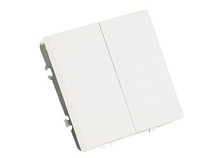 Выключатель Feron 2-клавишный (механизм) 250В 10А  Эмили RSW10-5104-01 белый фарфор 49866