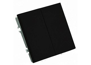 Выключатель Feron 2-клавишный (механизм) 250В 10А  Эмили RSW10-5104-05 черный уголь 49840