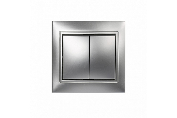 Выключатель SmartBuy "Венера" 2-клавишный 10А серебро (SBE-01s-10-SW2-0-c) (393)