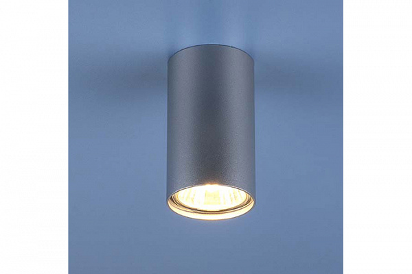 Точечный светильник Elektrostandard 1081 GU10 SL серебро (5257) 
