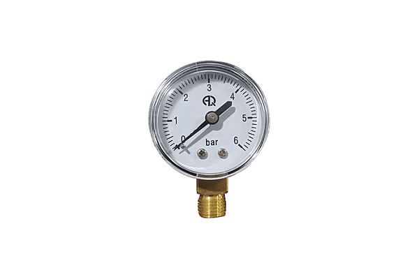 Манометр 50 мм, нижнее подключение 1/4", 0-6 бар (AQUALINK 120/10/1) (02780)