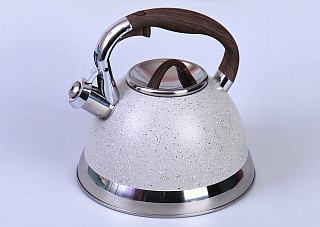 Чайник металлический WR-5021 3л