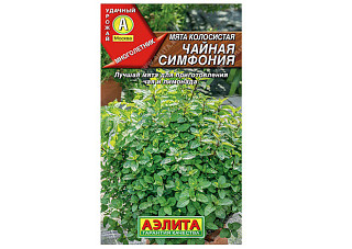 Мята Чайная Симфония 0,05гр колосистая /холодостойкий сорт