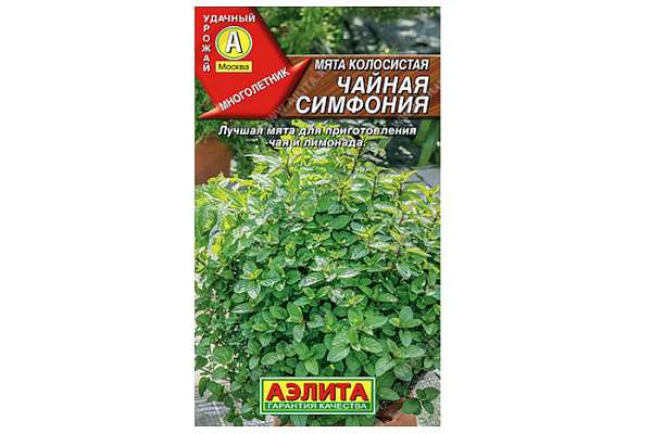 Мята Чайная Симфония 0,05гр колосистая /холодостойкий сорт