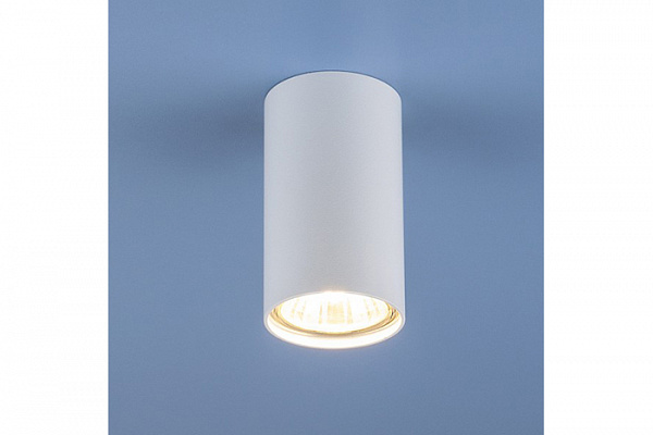 Точечный светильник Elektrostandard 1081 GU10 WH белый (5255) (под LED лампу)
