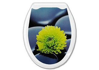 Сиденье для унитаза AQUA-PRIME Фотопринт "Хризантема" 1/10