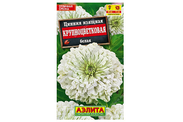 Цинния Крупноцветковая БЕЛАЯ 0,3гр Н90см георгиновидная /однолетник